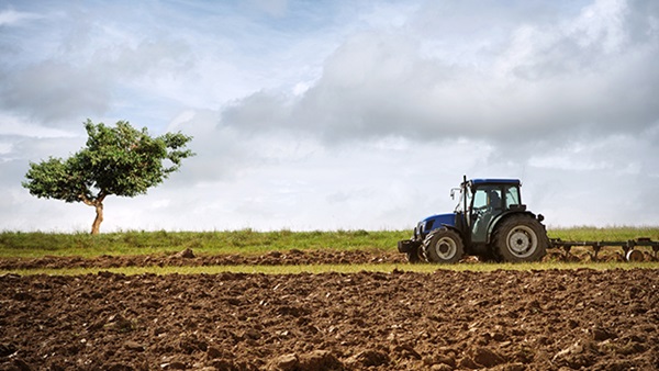 agricultura